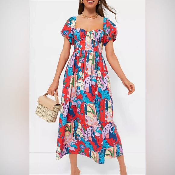 Tuckernuck Dresses & Skirts - TUCKERNUCK multicolor Climbing Cosmos Valerie Dress 12
